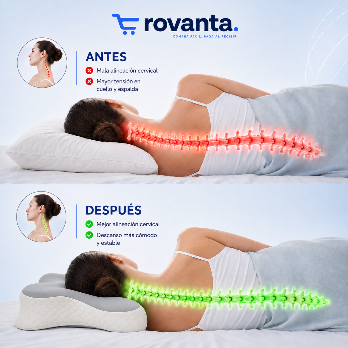 Almohada cervical y Ortopédica - Descansa mejor, despierta mejor